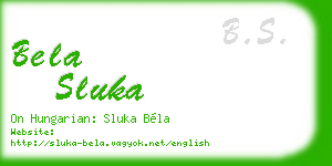 bela sluka business card